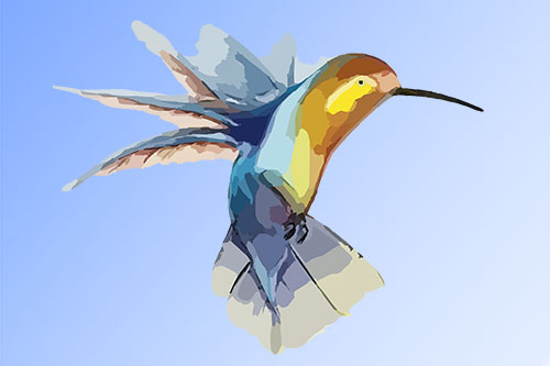 Showcase your Airdrie and surrounding locations Visual Arts services to local customers.