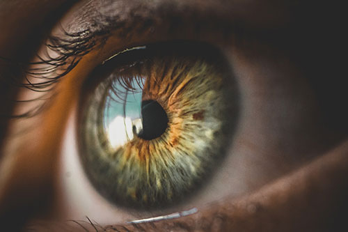 Showcase your Eye Care services local Airdrie area customers.